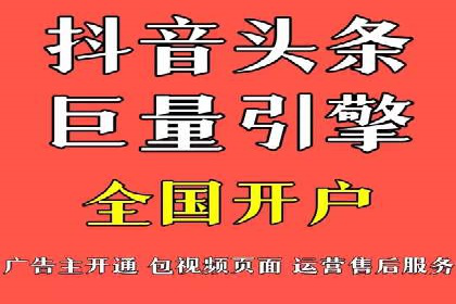 谷歌竞价广告的投放策略与成功案例分析