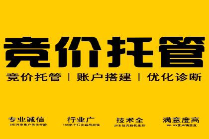 专业SEM托管服务，效果显著的案例展示